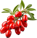 Illustration associated with berberine